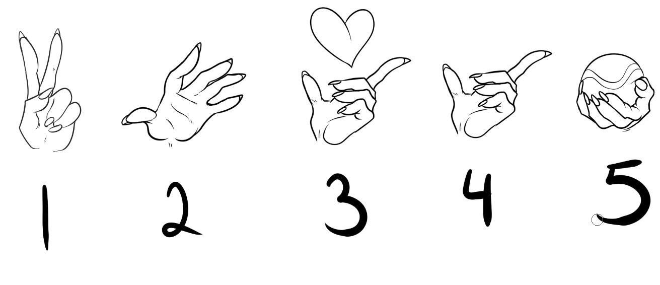 Hand Options